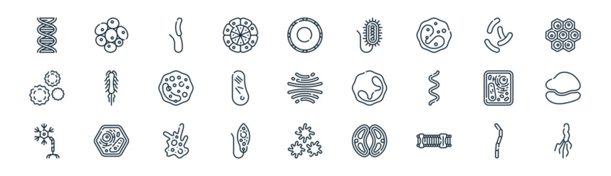 linear biology icon pack. vector thin line icons collection such as streptobacillus moniliformis, plant cell, cholerae vibrio, legionella, vacuole, ribosome, platelet, helicobacter pylori