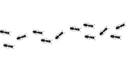 A Line of Black Ants Marching in a Row Across a White Background insect insects