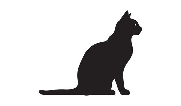 Black cat silhouette sitting isolated on