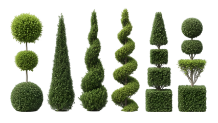 Collection of shaped topiary trees isolated on transparent background