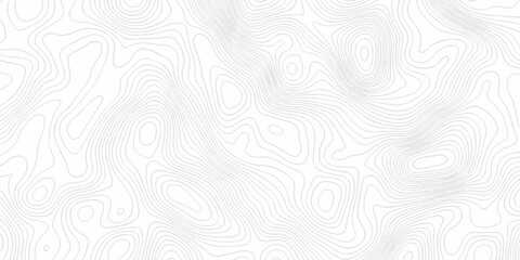 Abstract topography pattern seamless lines sea map modern design white background. Abstract digital topographic contour map concept space geometric strip grid line. Natural discovery of maps.
