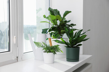 Different beautiful houseplants and watering can on window sill indoors