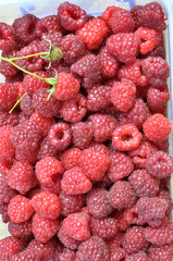 Background with raspberries