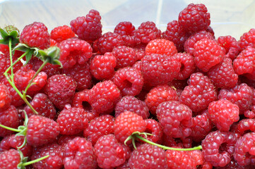 Background with raspberries