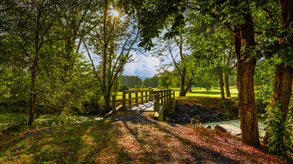 wooden bridge in the forest