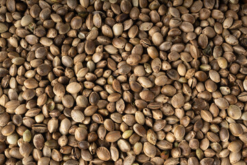 Hemp seeds pile texture background