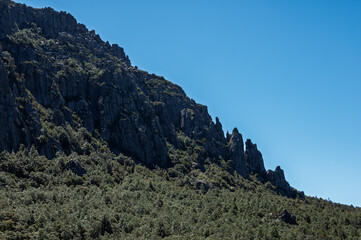 Tasmanian inland dolerite cliffs rising above dense eucalypt forest, ideal for geology themes, wilderness projects and landscape-focused visuals.