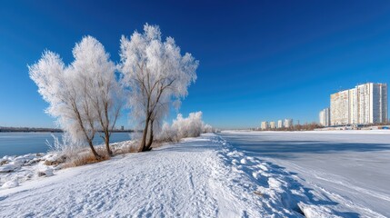 Fototapeta premium Winter scene features a frozen lake surrounded by bare trees and distant buildings under a bright blue sky