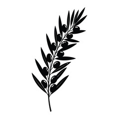 A detailed black and white illustration of a graceful olive branch featuring multiple ripe olives