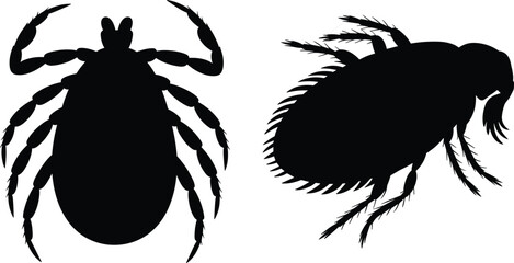 Parasitic insect silhouettes illustration, tick and flea, black shapes, entomology reference, pest control theme, vector graphic © Irin Akter