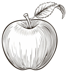 Detailed apple illustration with stem and leaf, black and white engraved style.