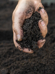 Soil in a man hands. Selective focus.