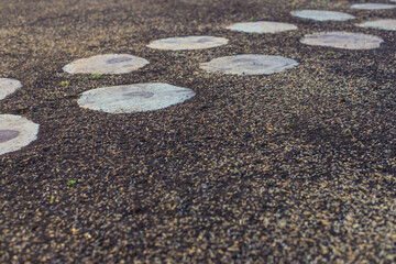 Fototapeta premium Seeding lawn grass in the garden. Selective focus.