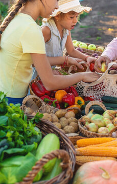 farmers market with vegetables. Selective focus.