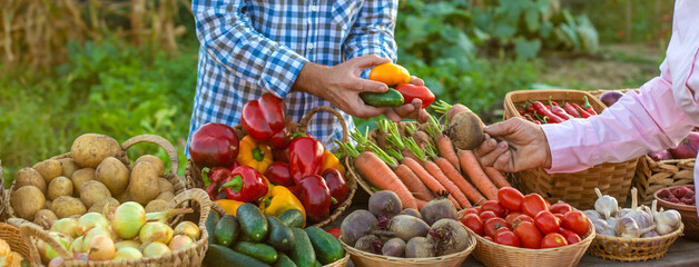 farmers market with vegetables. Selective focus.
