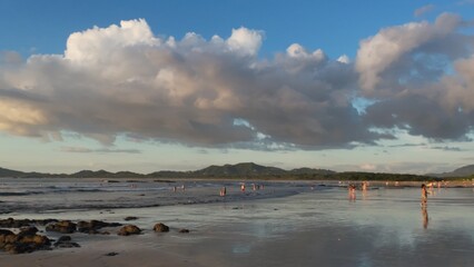 Costa Rica Landscape &ndash; Tropical Nature in Its Purest Form