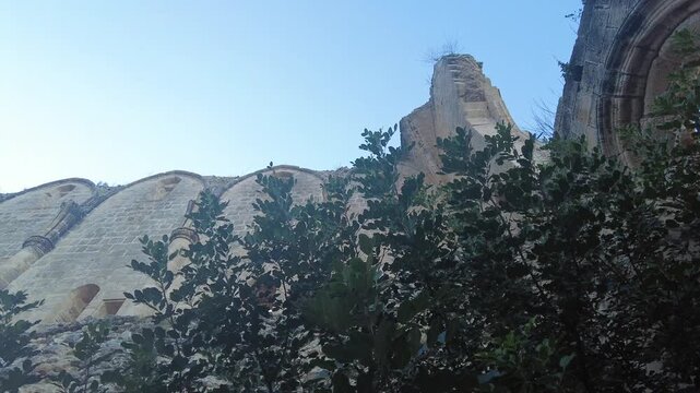 Passing through the sky-high trees and monastery walls. Nature and historical buildings.