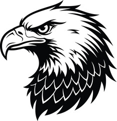 Eagle head illustration fierce bird of prey detailed vector artwork
