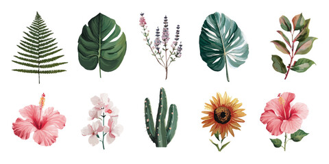 Collection of watercolor botanical illustrations featuring tropical leaves flowers and cacti on white background