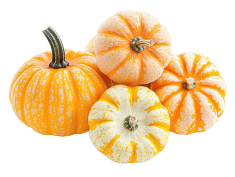 A Vibrant Array of Colorful Pumpkins Showcasing Textured Skin and Varied Shapes Perfect for Autumn Decoration and Seasonal Celebrations, png, isolated on transparent background - Powered by Adobe