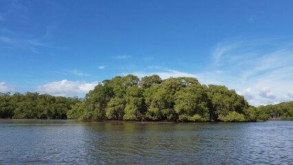 Costa Rica Mangroves &ndash; A Vital Coastal Ecosystem
