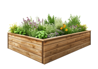 Wooden raised garden bed overflowing with a variety of flowering herbs and plants isolated on a transparent background