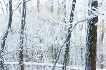 Tranquil winter wonderland featuring a serene forest draped in snow covered trees outdoors