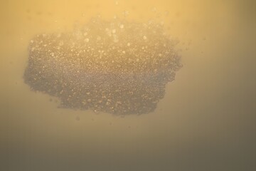 Abstract golden bubbles background with shimmering light and ethereal atmosphere