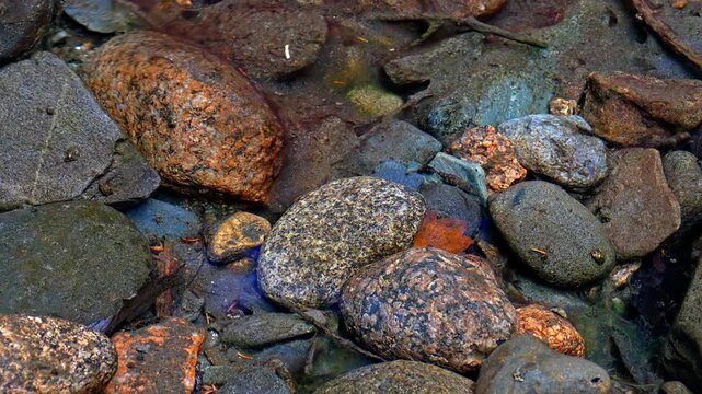 Rocks and pebbles are visible in a shallow stream by the riverbank. Sunlight shines on the water. The stones have various textures and colors. Water flows gently over them.