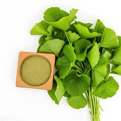 A top view of gotu kola leaves and a small square container with green powder inside