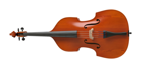 Classic wooden double bass musical instrument, elegantly crafted with a rich brown finish and visible wood grain, ready for a performance.