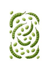 Flat Lay of Petai Pods and Seeds (Parkia Speciosa) Isolated on White