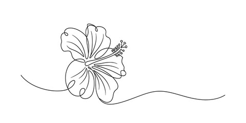 Continuous line drawing of a hibiscus flower blossom © Digital Illustration
