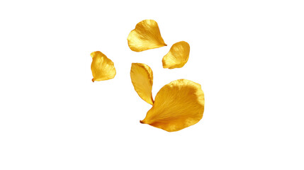Fototapeta premium Yellow flower petal, isolated on transparent background, delicate and natural, perfect for botanical design, spring decoration, or romantic floral art