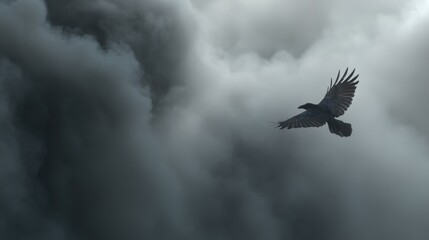 Fototapeta premium A crow soars above dark thick clouds. The sky fills with gray as the sun sets. The scene captures the bird in flight against the changing weather.