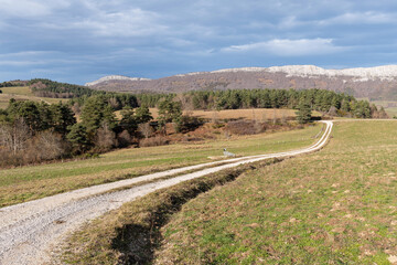 Rural road in the Aezkoa Valley. Abodi mountain range in the background. Navarrese Pyrenees