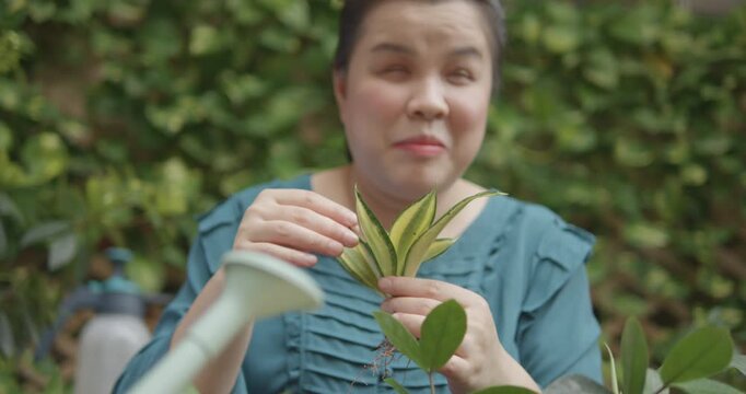 Person with blindness disability learning and recognize sansevieria plant by touch and smell with sense before growing plant in home garden
