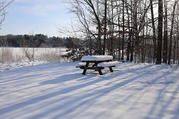bench in the park