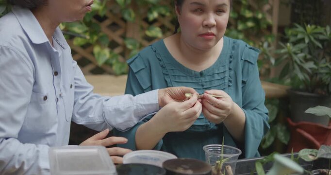 Person with blindness disability learning plants and gardening by touch and smell with the helping of her senior friend gardener in home garden nature background