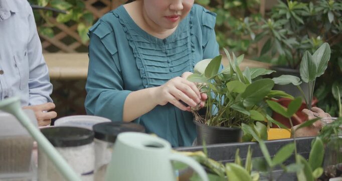 Person with blindness disability learning plants and gardening with the helping of her senior friend gardener in home garden nature background