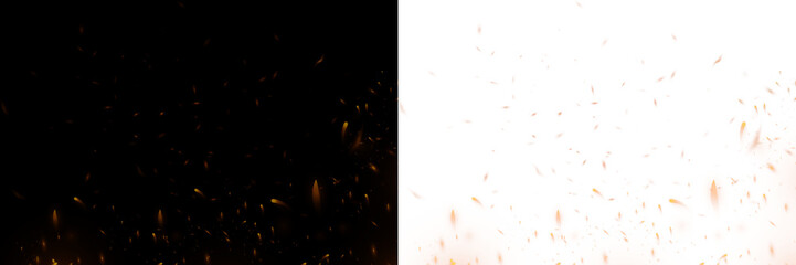 Fire embers and Fire sparks on white background 
