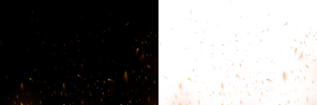 Fire embers and Fire sparks on white background 