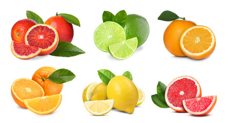 Collection of fresh citrus fruits isolated on white