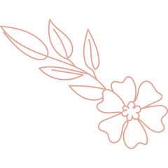 Line art illustration of flower with leaves
