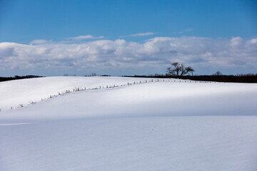 Snow-covered rolling hills of a ranch