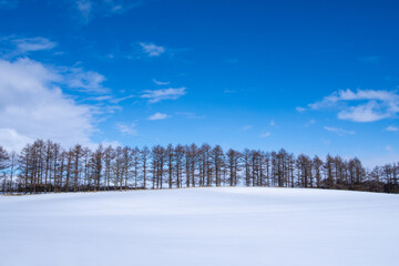 Snow-covered winter hills and trees