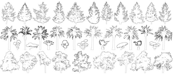 Contours of trees set isolated. Pine, spruce, palm tree, bushes. Vector illustration