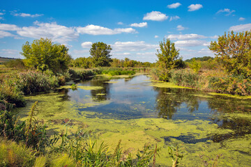 Scenic river Ros landscape with summer greenery, Ukraine.