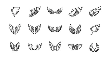 Collection of various black and white winged feather designs and illustrations © inhrvect