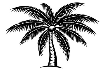 coconut tree white background linocut design vector illustration